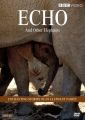 BBC Echo and Other Elephants