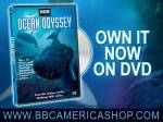 BBC Ocean Odyssey