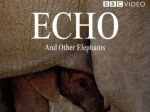 Echo and Other Elephants