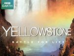 BBC Yellowstone